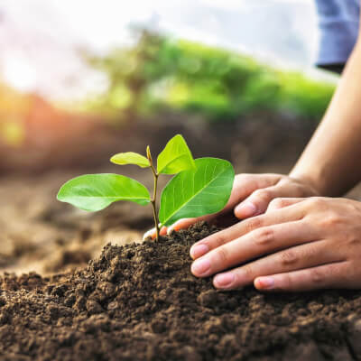 van der Zalm, Margriet Margriet van der Zalm