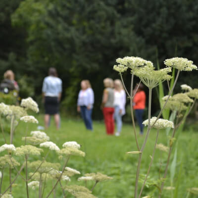 Ruifrok, Ellen Ellen Ruifrok