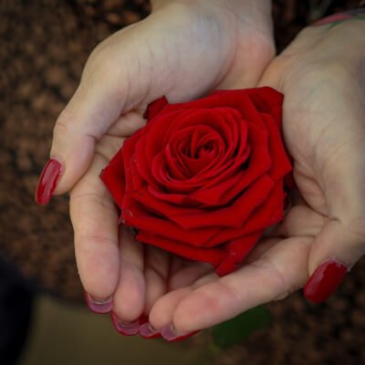 van Bavel, Jolanda Jolanda van Bavel